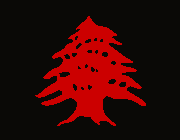 🌲