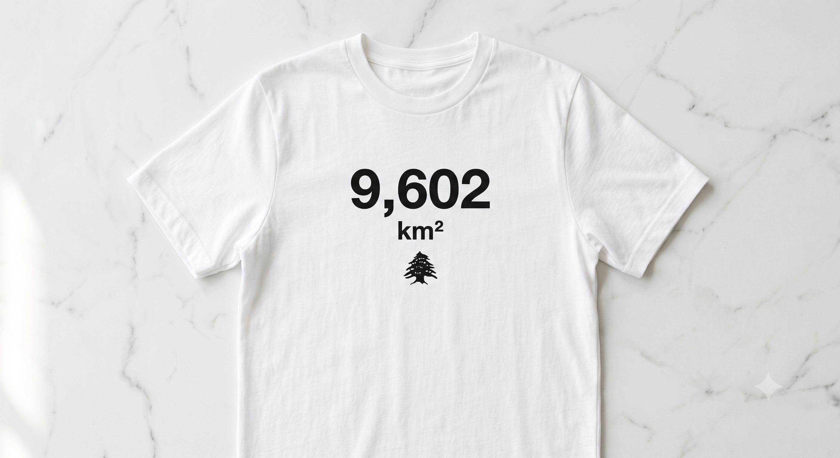 9,602 km²