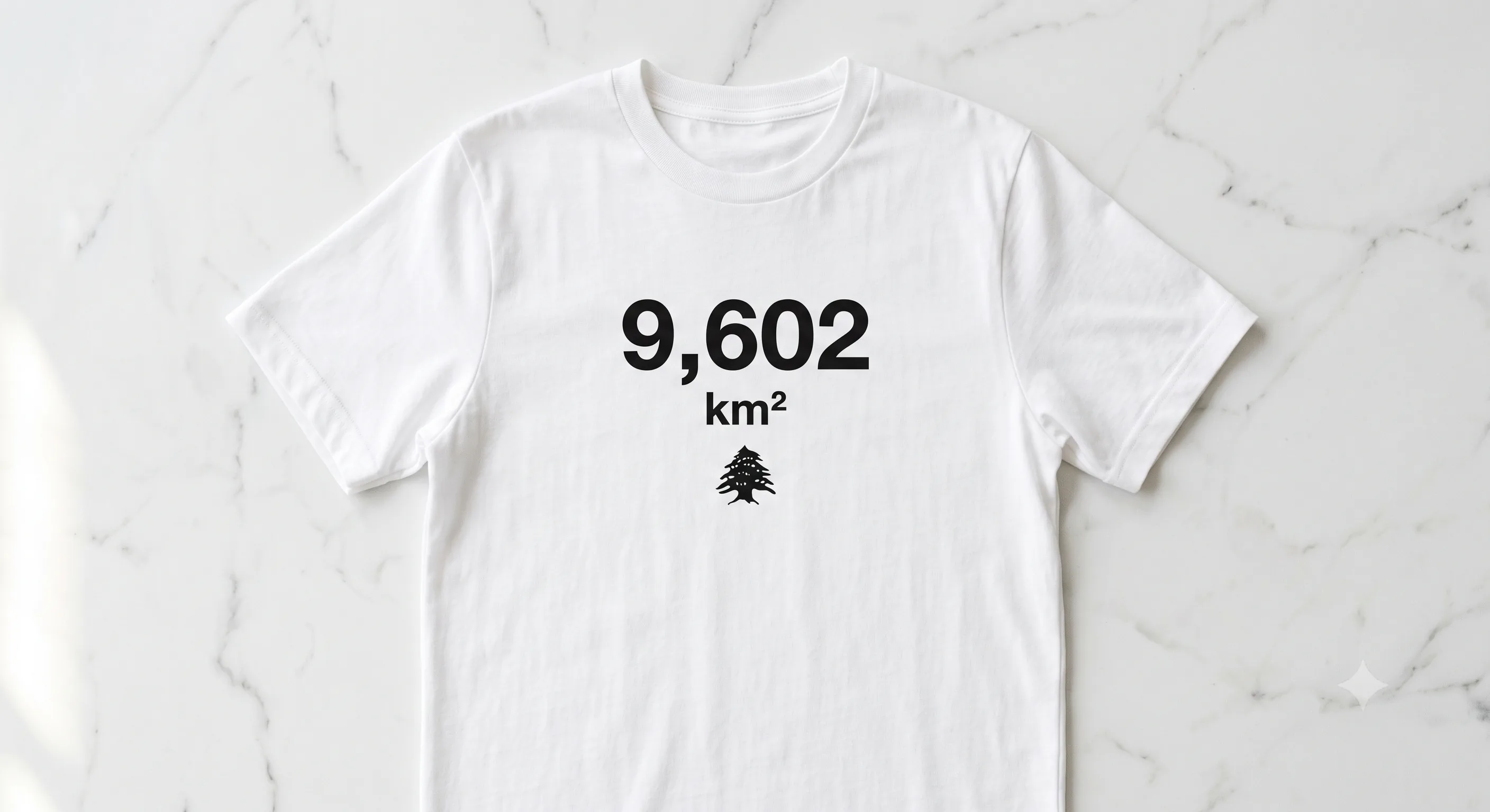 9,602 km²